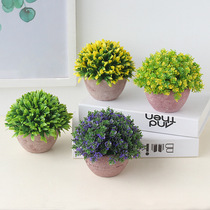 Creative emulation Flower minimalist Miniature Bonsai Potted Potted Green Planting Orchid Plastic Flower Desktop Living Room Pendulum home Decorative Goods