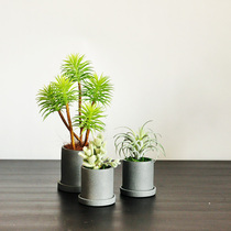 Jiusi simulation multi-meat potted combination fake green plant Air Blue Grass welcome pine window decoration ornaments art203