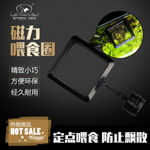 Feeding ring fish feeder fish feeding device feeding ring fish tank floating magnetic feeder magnetic fish food feed anti-drift