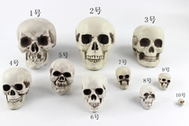 Simulation human skull skeleton Halloween hanging haunted house horror ornaments skull secret room props Skeleton Skull