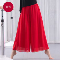 Classical Dance Double Legs Broad Legs Broad Legs Take Red Figure Dance Show Ink Green White Chinese Wind