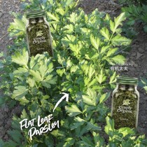 Mrs Organic USA Simply Organic Parsley Crushed Ground Powder Parsley Parsley Ketogenic Fitness Seasoning