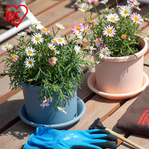 Alice resin flowerpot plastic rose large diameter round Pot Pot Pot Pot deepened and deepened