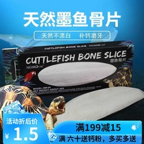 Tortoise Edging Grass Tortoise Brazilian Tortoise Sukada Radiation Tortoise Molars D3 Calcium Supplement Powder Cuttlefish Bone Calcium Supplement Molars