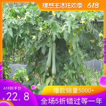 Farmhouse other new white other maintenance self-picking silk water moisturizing oil control Soft vegetable melon water Toner