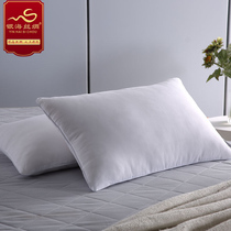  Silver Sea Silk Single pillow Comfort pillow 100%Mulberry silk pillow Cotton