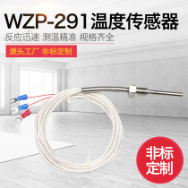 Thermal resistance WZP-291 4-point dental temperature probe Thermal resistance PT100 temperature sensor thermocouple