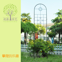 2017 high 2 4 meters flower curtain Clematis Ouyue Wrought iron climbing pergola flower pieces two pieces