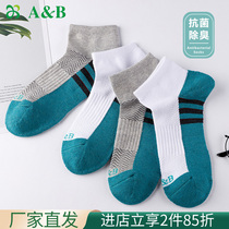 ab underwear socks cotton thickening hair rings antibacterial anti - odor fourth season sweating and breathable female sports leisure boat stockings AB 22