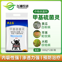 Taiwan Xingnong Xingzheng Dew methyl thiobendazim fruits and vegetables flowers bituminous coal disease white powder wheel scab fungicide