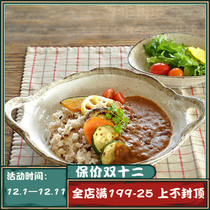 Japanese rough pottery made old soup bowl hand made retro dinner plate rice bowl curry rice plate double ear plate