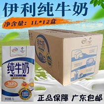 Guangdong Yili whole milk Pure Milk 1L * 12 boxes of milk tea coffee milk foam fancy coffee