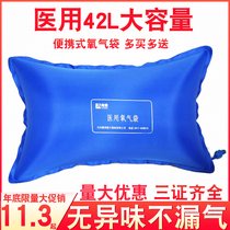 Oxygen bag Household portable large capacity medical first aid oxygen suction oxygen storage pillow Pregnant woman elderly oxygen pack bottle 42L