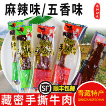 Qingzang special birth guard Zaozang Zang Mihands ripping beef Wind dry meat Halogen Flavor Snack independent small packing bag