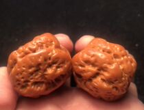 Wenplay iron walnut open back golden toad pimple bag lion head pure wild play niche paste old walnut 40 special offer