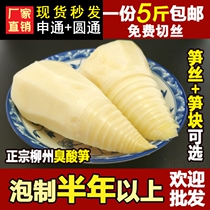 Guangxi tongue on the tip of the old altar half a year sour bamboo shoots Mountain block blistering Liuzhou snail Guilin rice noodles pickled smelly sour bamboo shoots