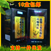 Ginseng Deer Whip Oyster Flakes Maa Café wolfberry Berry Sealwort Raspberry Berry special Care Kidney Tonic kidney Pine