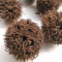 Quality Chinese herbal medicine road pass 6 6 6 pass maple with maple ball maple ball maple maple fruit maple fruit 100 gr pass milky milk knot