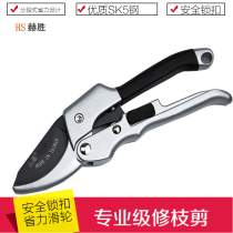 Japanese fruit branch scissors gardening Flower Branch scissors garden bonsai tools imported steel pulley labor-saving anti-rust shear