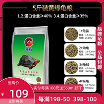 Dolphin tortoise food turtle grass turtle yellow throat stone money turtle water turtle grain yellow margin closed shell turtle yellow front saw half-water turtle grain
