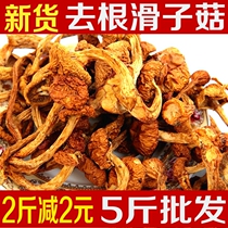 Northeast specialty Daxinganling selected farm dried mushroom yellow mill smooth mushroom dried mushroom 500 grams in bulk