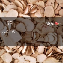 The root of the root