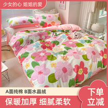 Four-piece set of ab surface cotton pure cotton plus velvet milk velvet bed sheet quilt cover girl heart bed three-piece set winter thickening