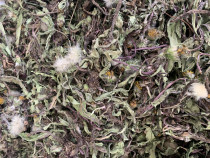 Dandelion non-wild whole root dandelion tea dandelion root dandelion herb non-grade Chinese herbal medicine 500g