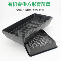  New nursery plate Rectangular plate planting plate Green plant succulent planting plate Leaf insert plate Maca plate