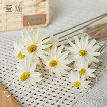 Yunnan dried flower Wenxin orchid natural real flower dry eternal Life ins wind Net Red Star Nordic decorative home