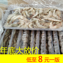 Dragon fish food feed fresh frozen shrimp fish feed small river shrimp fresh frozen river shrimp head to tail to shrimp gun to feed fish