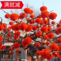 Wedding supplies small paper lanterns red honeycomb wedding National Day opening decoration Festival Red