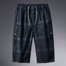 Seven-in-pants mens pure cotton loose tooling shorts for old age casual pants male summer dad casual pants horse pants