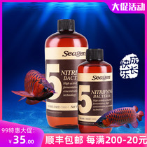 Hegan High Concentrated Nitrifying Bacteria Aquarium Tropical Fish Ornamental Fish Freshwater Fish Tank Digestive Bacteria Nitrifying Bacteria