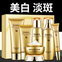 Red Ginseng Snail Skin Care Product Set Student Moisturizing Whitening Light Spot Liquid Cosmetics for Men and Women
