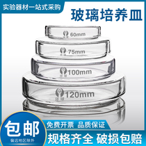 Glass petri dish 60 75 90 100 120mm glass plate bacterial petri dish Junior High School chemical biology experimental equipment teaching equipment consumables experimental supplies teaching aids