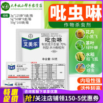 German Bayer Emile imidacloprid whitefly aphids rice planthopper aphids rice planthoppers small green leafhopper plant flower pesticide insecticide