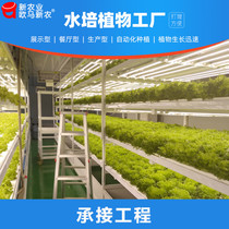 Soilless cultivation equipment planting vegetables leafy vegetables fleshy greenhouse indoor greenhouse plant large equipment engineering