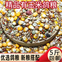 5 catties of A-grade small grain corn high-quality pigeon food young pigeon food pigeon feed meat pigeon food ornamental pigeon pigeon feed grain