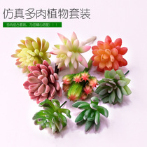 Simulation succulents combination with fake succulents indoor and outdoor flower pots embellished with green plant background wall decoration