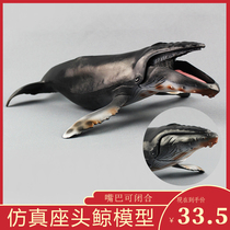Simulation sea animal humpback whale model Plastic animal doll Underwater world Whale toy Childrens gift