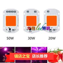 Full spectrum 220V free of drive 20W30W50W integrated LED light Pearl pink light source hot pin