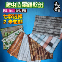 Reptile box background sticker green Coe chameleon background painting tortoise lizard feeding box landscape wall wallpaper