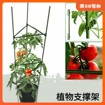 Bracket gardening balcony potted climbing vine shelf vegetable plant support Rod cucumber tomato climbing shelf