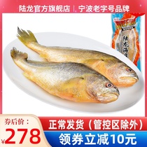 Lu Longfresh East China Sea Large yellow fish frozen ice fresh boat Mountain seafood frozen products 600g bags * 2 bags of seafood speed deserve