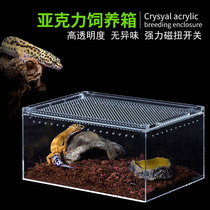 Reptizoo Acrylic feeding box Palace horned frog Lizard Turtle Silkworm reptile climbing pet snail feeding box