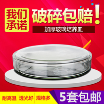 Qiuzuo Technology thickened high temperature 60 90 100 120 150 laboratory biochemical bacterial petri dish