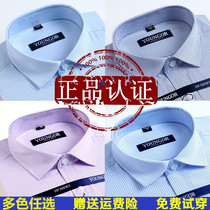 Mens long-sleeved shirt Spring and Autumn cotton business casual Dad formal middle-aged striped plaid shirt