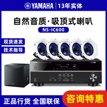 Yamaha NS-IC600 ceiling home theater audio set ceiling speaker embedded background music