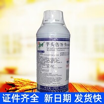 Master Zhu Taro Color Sesented Oil Food Additives Food Liquid Flavor 500g